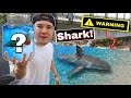 FINDING FISH IN SHARK INFESTED WATERS... (sharks everywhere)