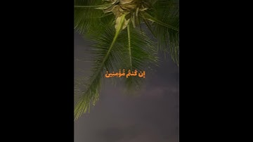 تلاوة خاشعة جميلة بصوت ماهر المعيقلي ارح سمعك #ماهر_المعيقلي #اكسبلور_فولو