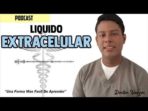 Video: ¿Cómo se llama el líquido extracelular?