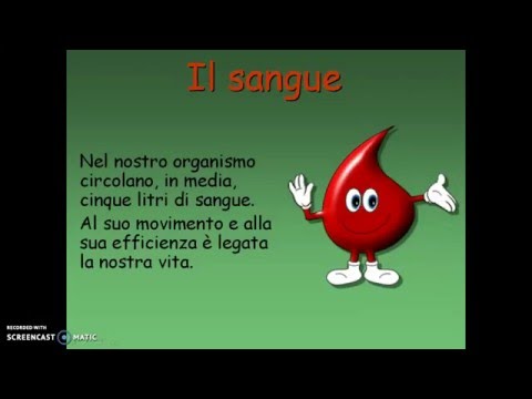 Il sangue - Videolezione di Scienze