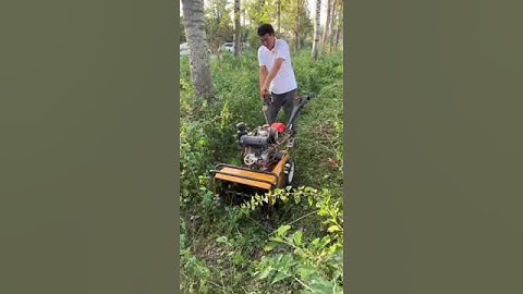 Máy xới đất mini máy cắt cỏ trục băm nông nghiệp máy vun luống ngô (tạo rãnh) đa năng #automobile