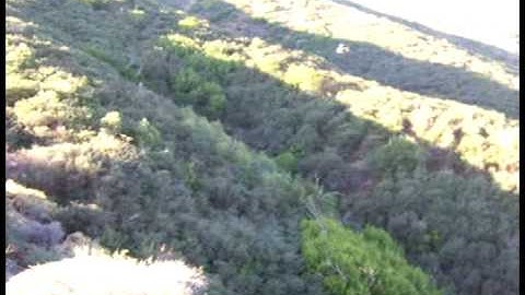 Trex 450 First Loops... (WATCH IN HIGH QUALITY)