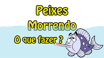 Quais são as causas da mortandade de peixes?