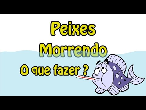 Vídeo: Top 10 razões pelas quais os peixes tropicais morrem em um tanque