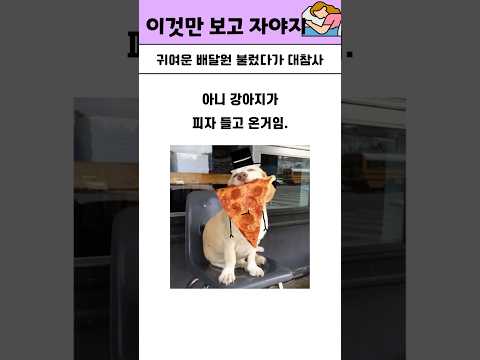귀여운 배달원 불렀다가 대참사