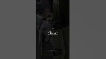 من سورة المزمل | بصوت القارئ زين بدور