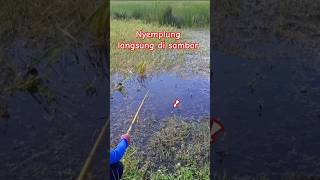 Umpan Dilempar, Langsung Di Sambar.