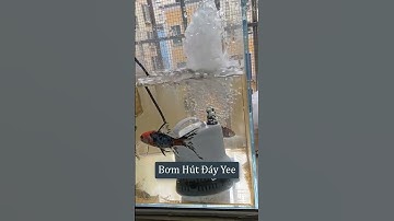 Bơm Hút Đáy Bể Cá Siêu Sạch Yee, Nhỏ Gọn, Dễ Sử Dụng #bomhoca #cácảnh #thuysinh