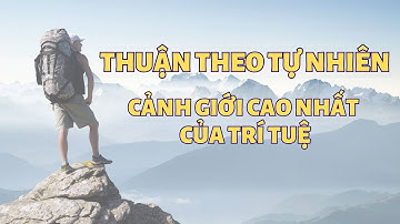 Thuận theo tự nhiên là cảnh giới cao nhất của trí tuệ