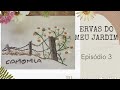 Ervas do Meu Jardim - Camomila | Aula 3