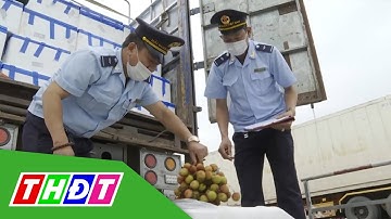 3.600  tấn vải thiều xuất qua cửa khẩu quốc tế Lào Cai | THDT