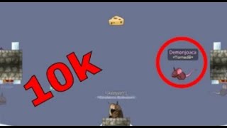 Transformice - Racing Gameplay #7 - Demonjoaca 10k Firsts