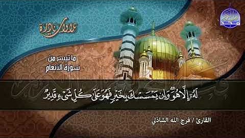 24 - صوت يحنن القلوب الى علام الغيوب  💚 من سورة  الأنعام   للقارئ الشيخ  فرج الله الشاذلي