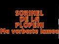 SORINEL DE LA PLOPENI    MA VORBESTE LUMEA Cover Live