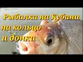 Рыбалка на реке Кубань.Рыбалка на кольцо и донки.