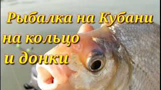 Рыбалка на реке Кубань.Рыбалка на кольцо и донки.