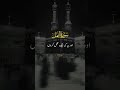 Surah An-Namal | #quranrecitation #qurantarjuma #quranverses #quran #viral #fypシ#trending #shortfeed