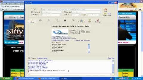 SQL Injection Video Tutorial in HD! Manual HaviJ   Page 1 3   Kayz Afridi