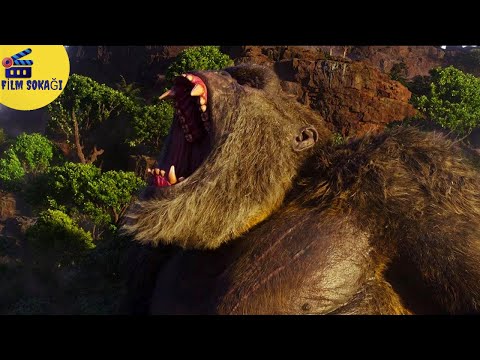 Godzilla vs Kong  | Ormanlar Kralı Kong | HD |