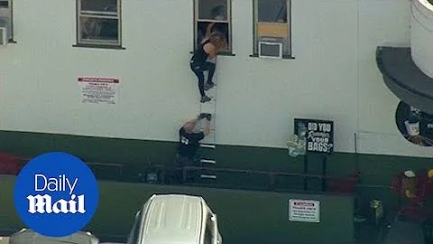 Trader Joe's worker saves lives with ladder in Los...