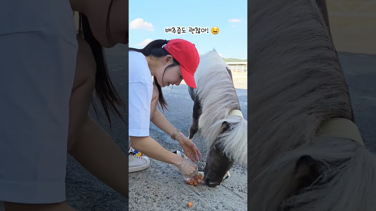 배추즙이라도 내나랏!!🥬🤤