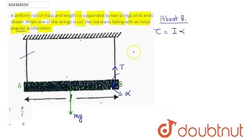 A uniform rod of mass and length l is suspended by two strings at its ends shown. When one of th...