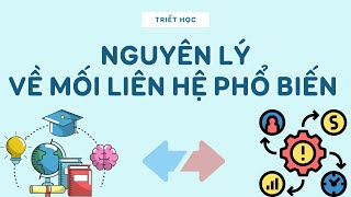 Nguyên Lý Về Mối Liên Hệ Phổ Biến - Triết Học Mác-Lê Nin | Hiểu Nhanh Chóng