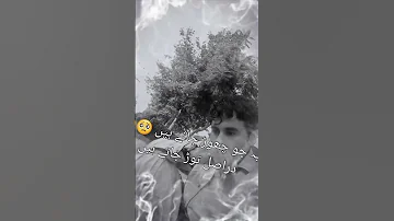 اکیلے ہی خوش رہنا سیکھو کیا پتا کون کب کہاں ساتھ چھوڑ دے 