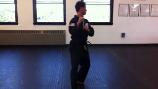 World Tang Soo Do form 2(full speed)