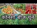 Tomato seed variety selection/टोमेटो की बीज किसम कैसे चुने / Tomato beej variety kaise chune/ beej