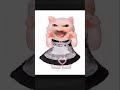 lovely cat sings apt! 😻#apt #animation #meme #cute #lovely #cat #fm_zip