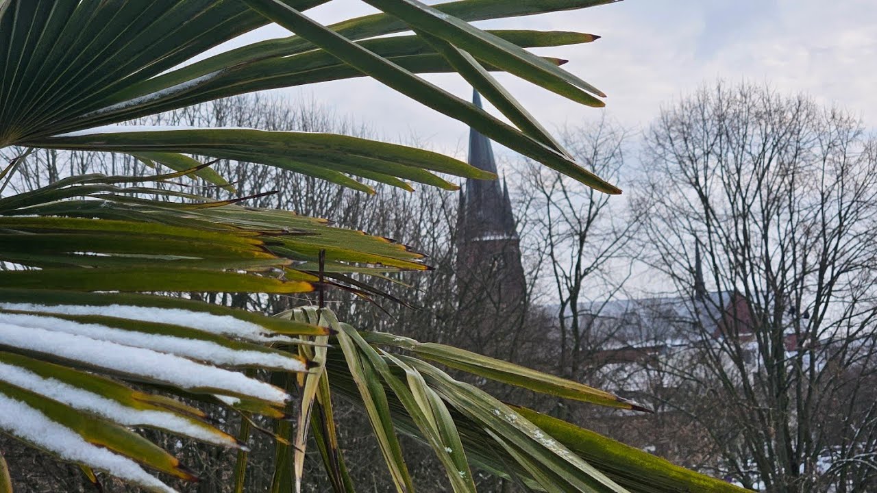 Fahrt durch Haltern am See am 1.2.2026 verkaufsoffener Sonntag