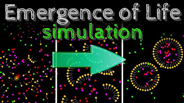 Emergence of life: simulation in a particle system, short trailer. Passe-science