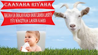 Caanaha Riyaha || Maxaa ka dhalan kara hadii lasiiyo ilmaha yar iyo waqtiga lasiin karo.