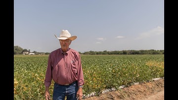 Ward Laboratories, Inc. 42 Years in Business!