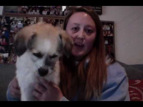 Vlog 1 Chelsea Poe Vlog 1 Chelsea Poe