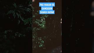 Download Lagu Bikin ganas#mukbang #youtubeshorts MP3