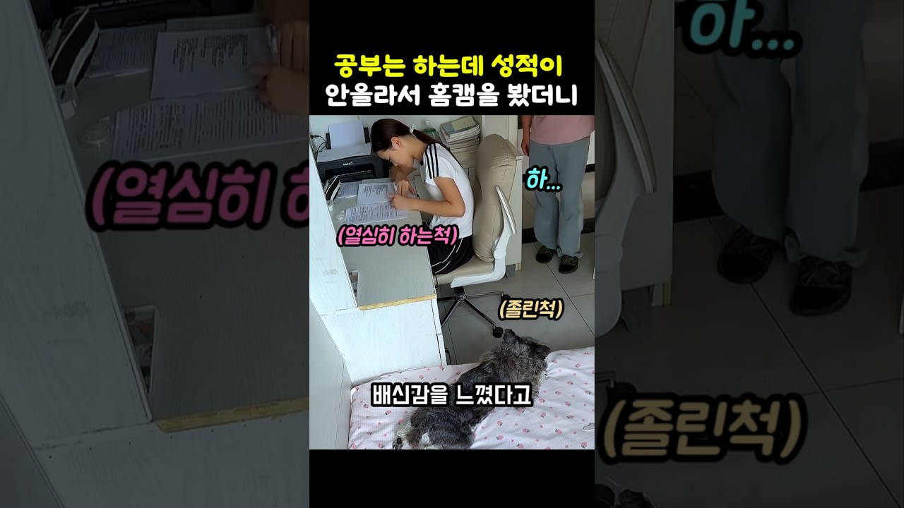 댕댕이 주인이 홈캠을 보고 배신감을 느낀 이유 #강아지 #개 #멍멍이 #개집사 #댕댕이영상 #웃긴동물