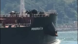Bulk Carrier MINIMATA 8 2025b