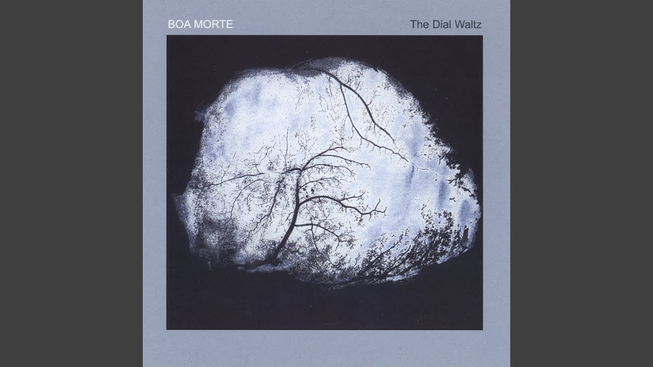 video phone beyonce mp3 Wooden Floor