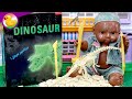 الهيكل العظمي للديناصور والانسان - العاب تعليميه للاطفال