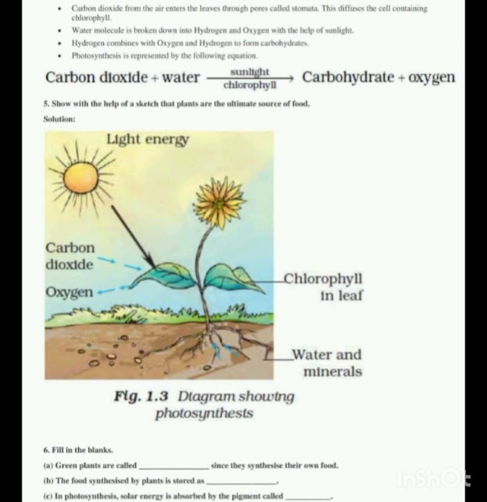 class-7th-science-chapter-1-question-answer-youtube