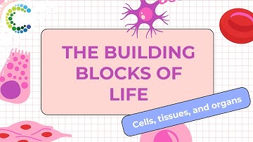 The Building Blocks of Life: Cells, Tissues, and Organs