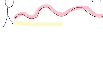 LM- Unit 2 Kinematics- Displacement vs. Distance