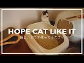 新しいトイレを使ってほしくて四苦八苦 / We Want Cat To Try System Toilet / Trial and Error