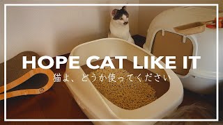 新しいトイレを使ってほしくて四苦八苦 / We Want Cat To Try System Toilet / Trial and Error