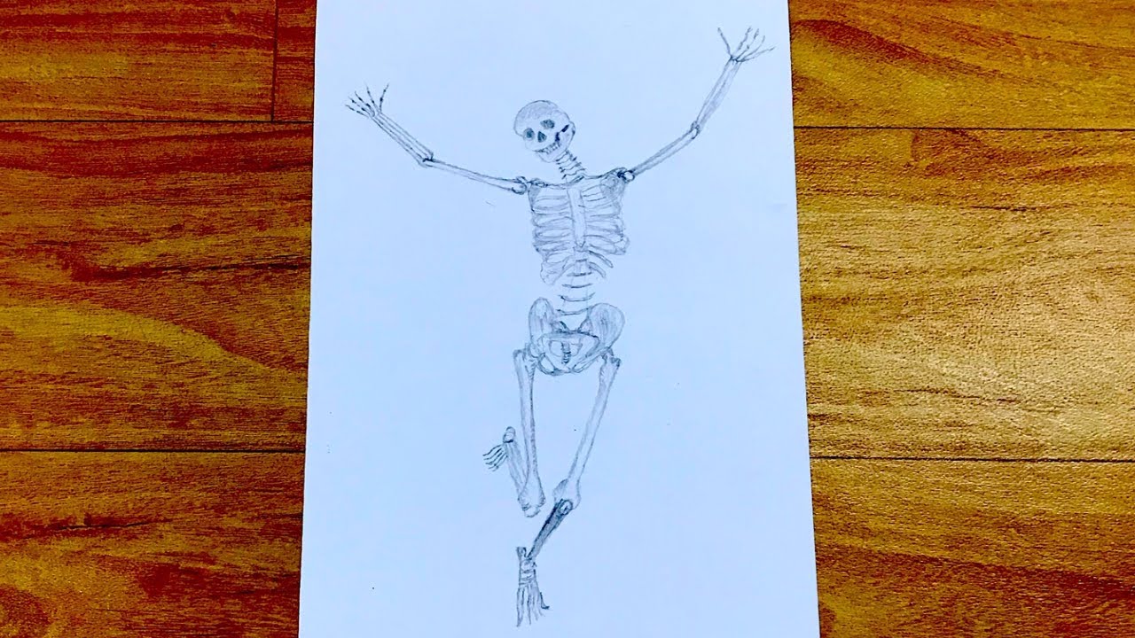 How to draw a skeleton for beginners skeleton sketch draw session YouTube