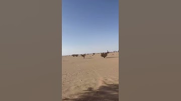 دحيم الحماد 1443ه سورة الفاتحة بالجزعة