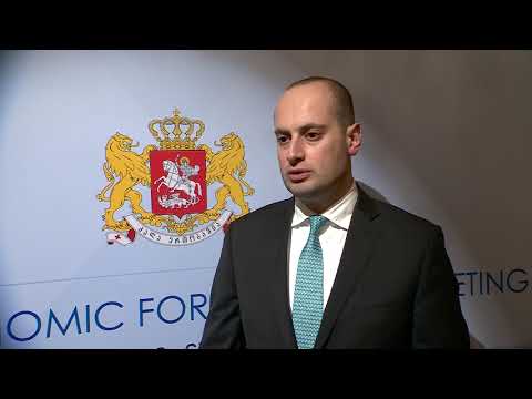 წელს საქართველო მსოფლიო ეკონომიკურ ფორუმს მეტი წარმატებით ხვდება - მიხეილ ჯანელიძე