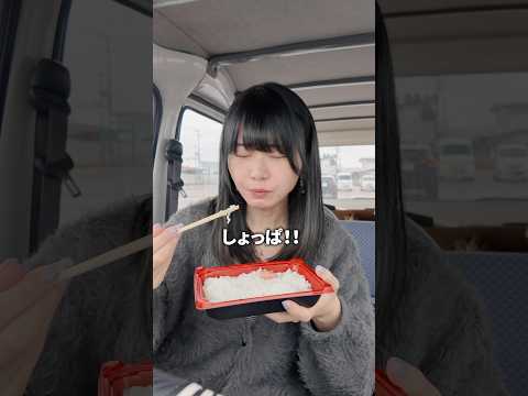 地元・秋田のヤバすぎる鮭弁当🐟　#shorts #秋田
